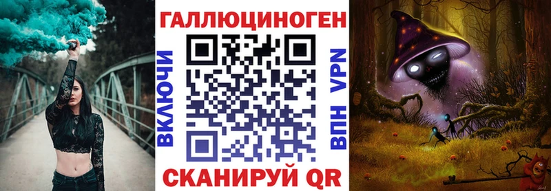 купить наркоту  Катайск  Галлюциногенные грибы Psilocybe 